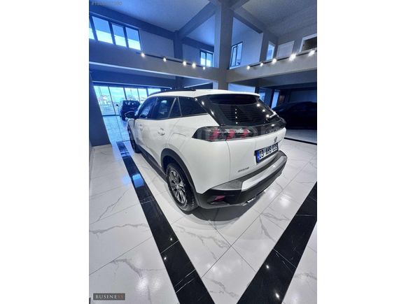 BUSINESS AUTO/HATASIZ BOYASIZ KAYITSIZ