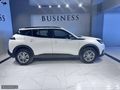 BUSINESS AUTO/HATASIZ BOYASIZ KAYITSIZ