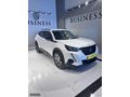 BUSINESS AUTO/HATASIZ BOYASIZ KAYITSIZ