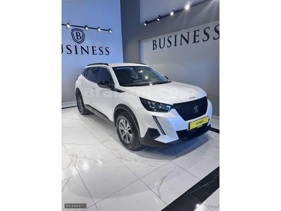 BUSINESS AUTO/HATASIZ BOYASIZ KAYITSIZ
