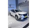 BUSINESS AUTO/HATASIZ BOYASIZ KAYITSIZ