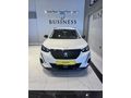 BUSINESS AUTO/HATASIZ BOYASIZ KAYITSIZ