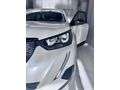 BUSINESS AUTO/HATASIZ BOYASIZ KAYITSIZ