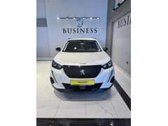 BUSINESS AUTO/HATASIZ BOYASIZ KAYITSIZ