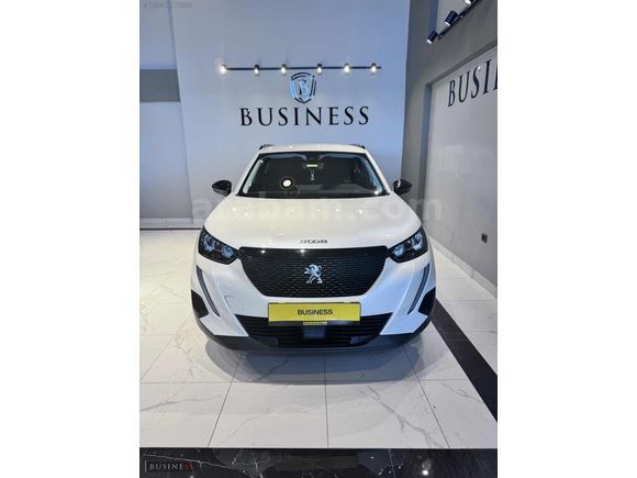 BUSINESS AUTO/HATASIZ BOYASIZ KAYITSIZ