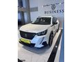 BUSINESS AUTO/HATASIZ BOYASIZ KAYITSIZ