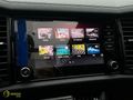 NERGİSOTO HATASIZ 4X4 KODİAQ 2.0 TDİ SPORTLİNE 200HP NERGİS OTO