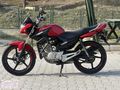 2015 MODEL YAMAHA YBR ESD