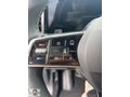 Çayan Tarsus renew Austral 1.3 Mild Hybrid Techno Esprit Alpine