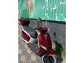 Sahibinden CSN Motor Beauty 50 