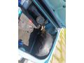 Sahibinden Renault R 12 Hatay