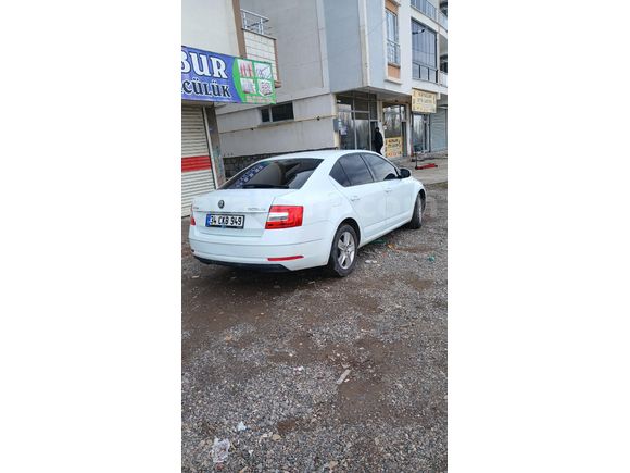 Sahibinden Skoda Octavia 1.6 TDI Optimal 2019 Model