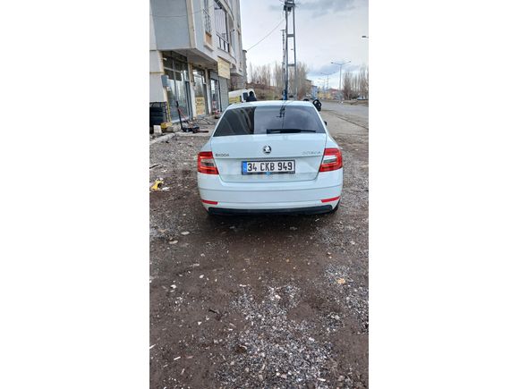 Sahibinden Skoda Octavia 1.6 TDI Optimal 2019 Model