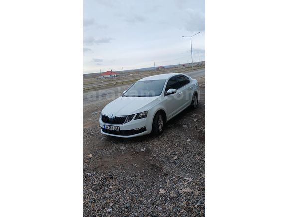 Sahibinden Skoda Octavia 1.6 TDI Optimal 2019 Model