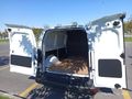 Sahibinden 6 Aylık Kullanilmamis + Sıfır Continental XL Kış Lastikler