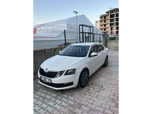 Sahibinden Skoda Octavia 1.6 TDI optimal 2017 Model  240000 km Beyaz