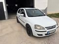 RUHSAT HUSUSİ BİNEK (2 YILDA BİR) 