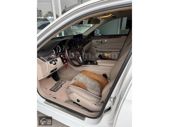 EMSALSİZ BAKIMLI E 250 PREMİUM