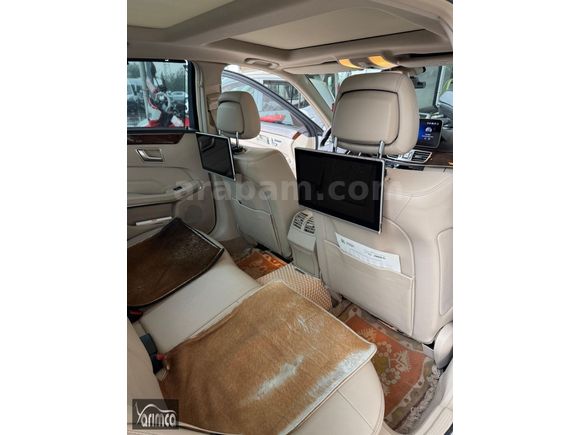 EMSALSİZ BAKIMLI E 250 PREMİUM
