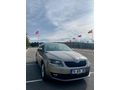 Sahibinden Skoda Octavia 1.6 TDI Elegance CR 2013 Model 