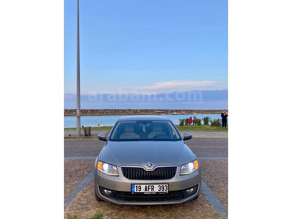 Sahibinden Skoda Octavia 1.6 TDI Elegance CR 2013 Model 