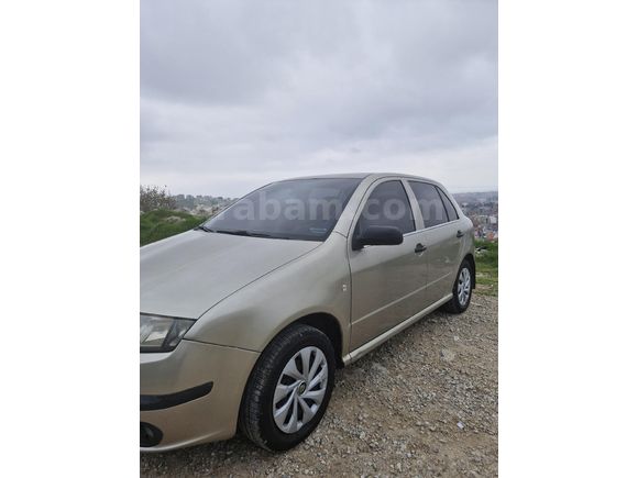 Sahibinden Skoda Fabia 1.4 Classic 2005 Model  266.000 km Şampanya