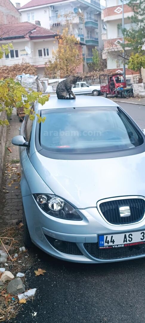 Sahibinden Seat Altea 1.6 Stylance 2005 Model Malatya 287.000 km Mavi (metalik) 3