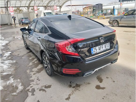 Kara panter yuvadan çıktı
