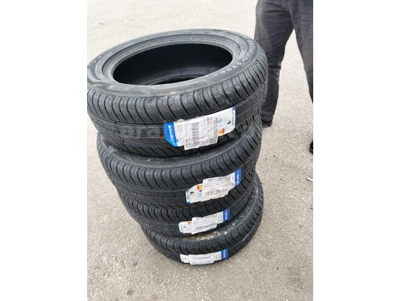 Kara panter yuvadan çıktı