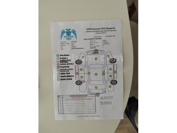 Kara panter yuvadan çıktı