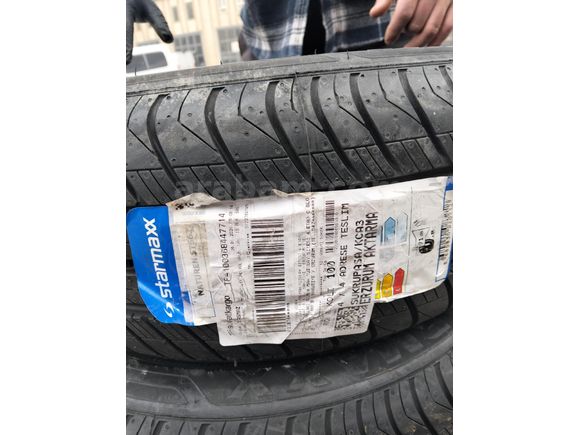 Kara panter yuvadan çıktı