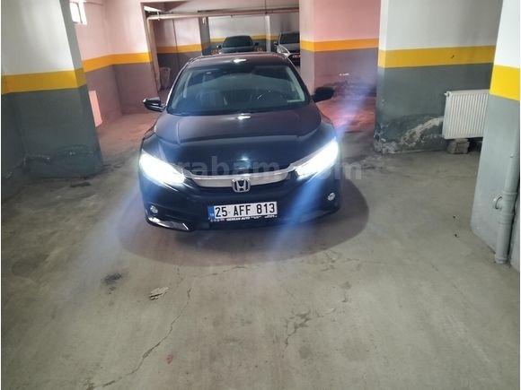 Kara panter yuvadan çıktı