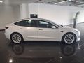 YAZICI 2.EL -TESLA MODEL3-2021-ÖZEL SERİ-325 HP-100.550 KM