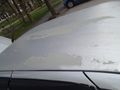 Sahibinden Fiat Tempra 1.6 SX 1993 Model