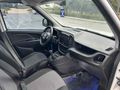 Doblo cargo maxi