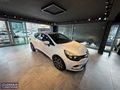 **ÇINAR MOTORS 2016 CLİO 1.5 DCİ**