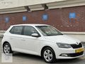 GALERİ MAVİ'DEN 2017 MODEL 1.0 GREENTEC STYLE FABİA DSG