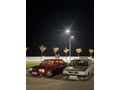 BORDO GÜZELİ KELEPİR DOĞAN L