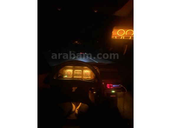 BORDO GÜZELİ KELEPİR DOĞAN L