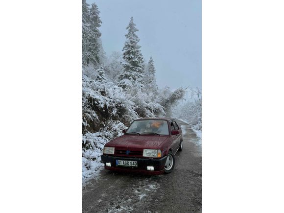 BORDO GÜZELİ KELEPİR DOĞAN L