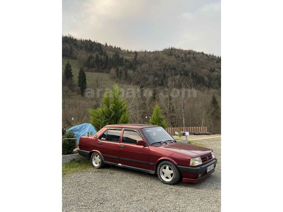 BORDO GÜZELİ KELEPİR DOĞAN L