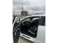 Tertemiz Cupra