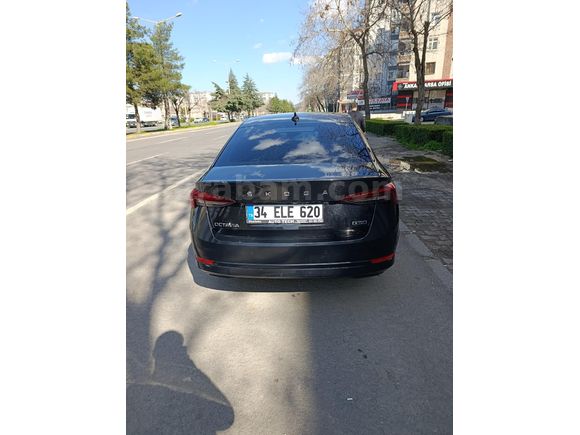 Sahibinden Skoda Octavia 1.0 e-Tec Elite 2021 Model