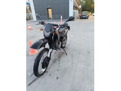 Sahibinden Kuba Black Cat