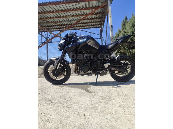 Kawasaki Z900 2023 model