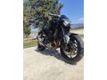 Kawasaki Z900 2023 model