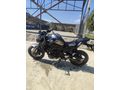 Kawasaki Z900 2023 model