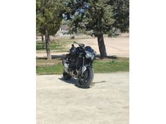 Kawasaki Z900 2023 model