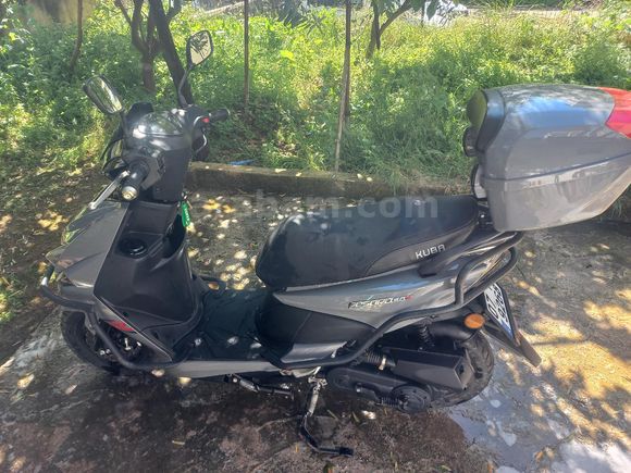 Sahibinden Kuba Pesaro 50 X