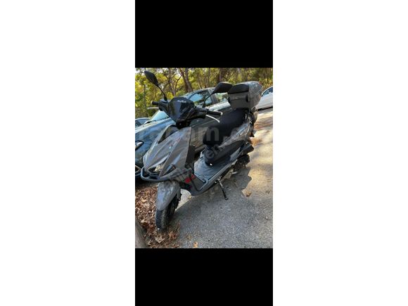 Sahibinden Kuba Pesaro 50 X